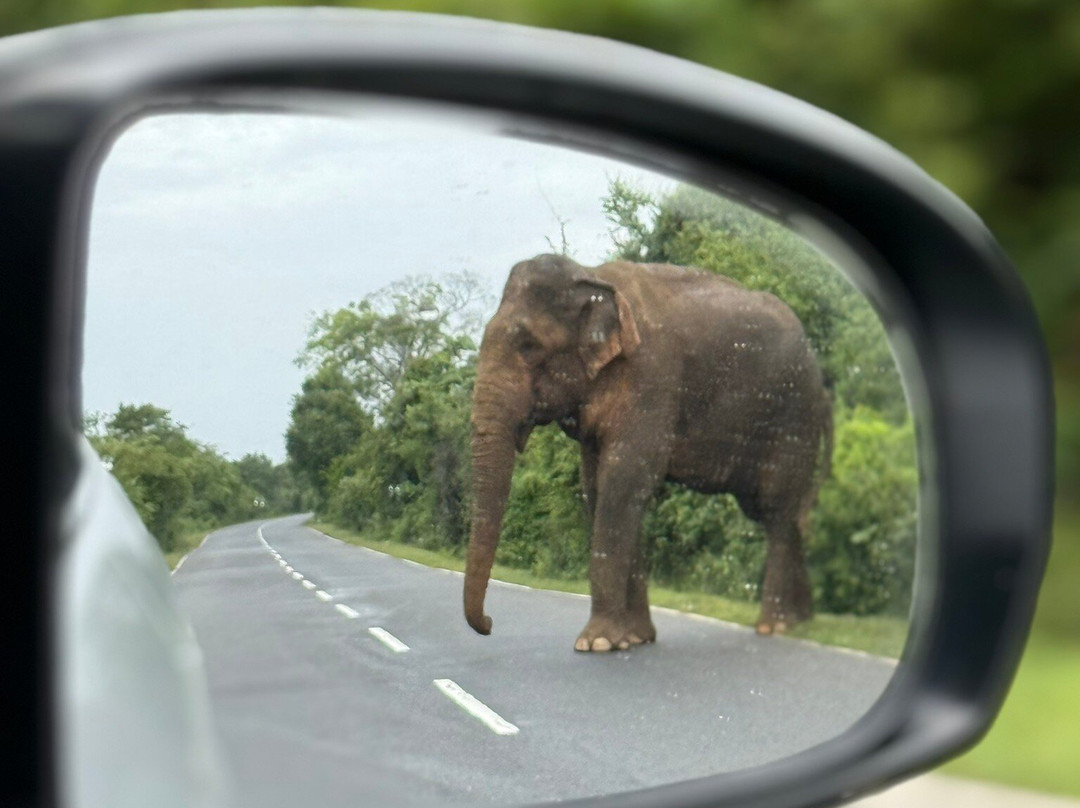 Trek Tropical Tours - Sri Lanka Tours & Travels-埃勒必去景点