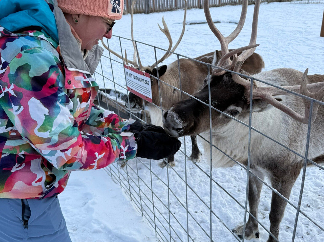 Reindeer Farm-帕尔默必去景点