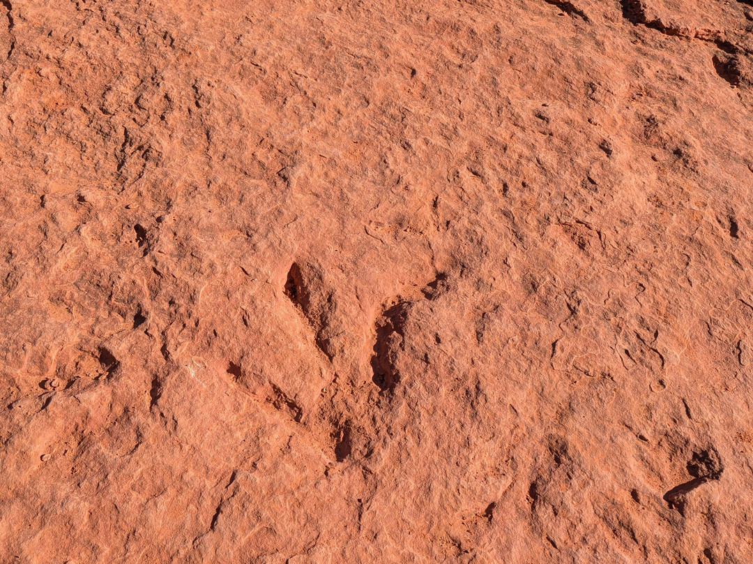 Red Cliffs National Conservation Area-圣乔治必去景点