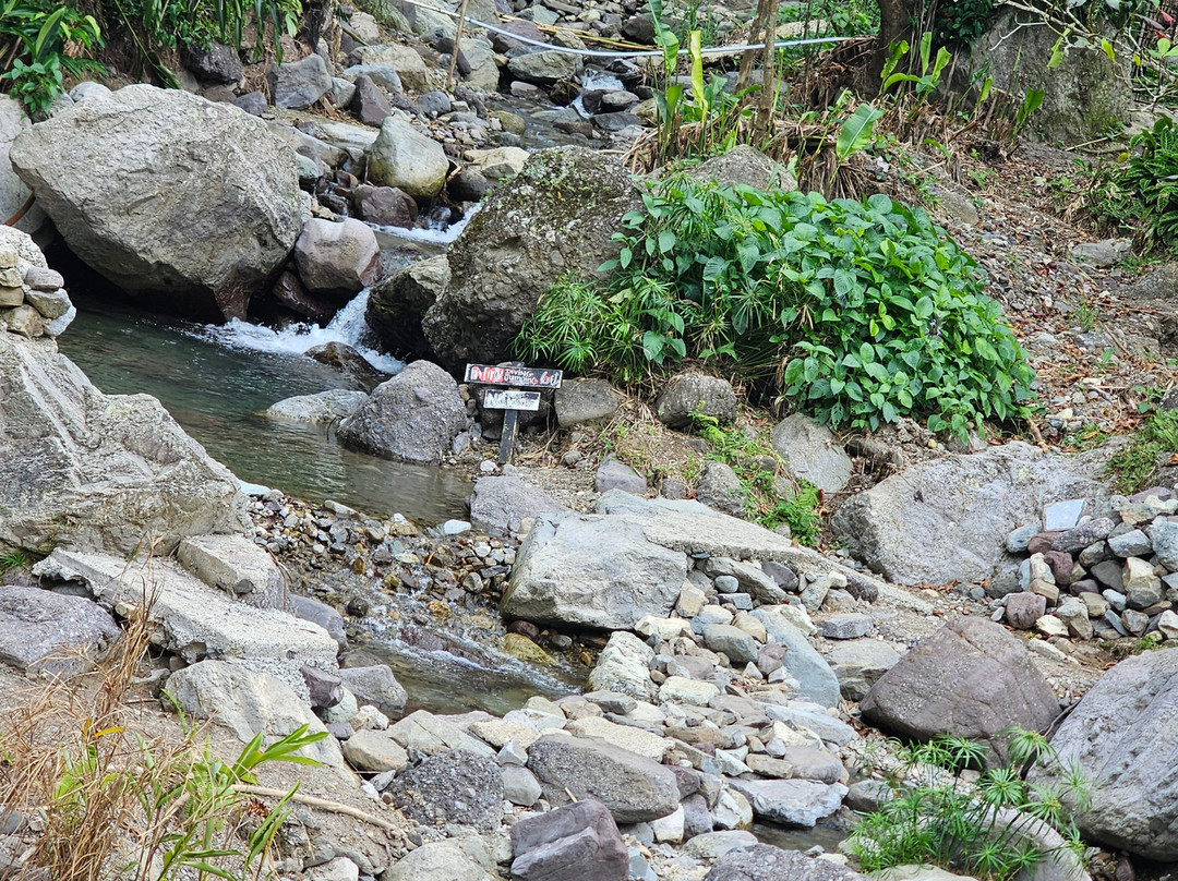 Rafjam's Bed & Breakfast主图