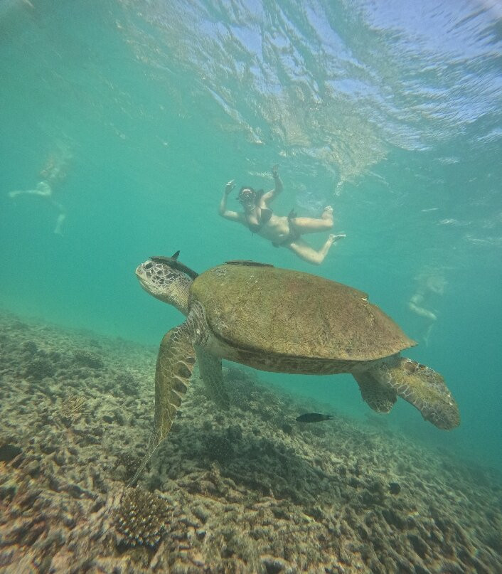Diamond Tour - Day Tours-涛岛必去景点