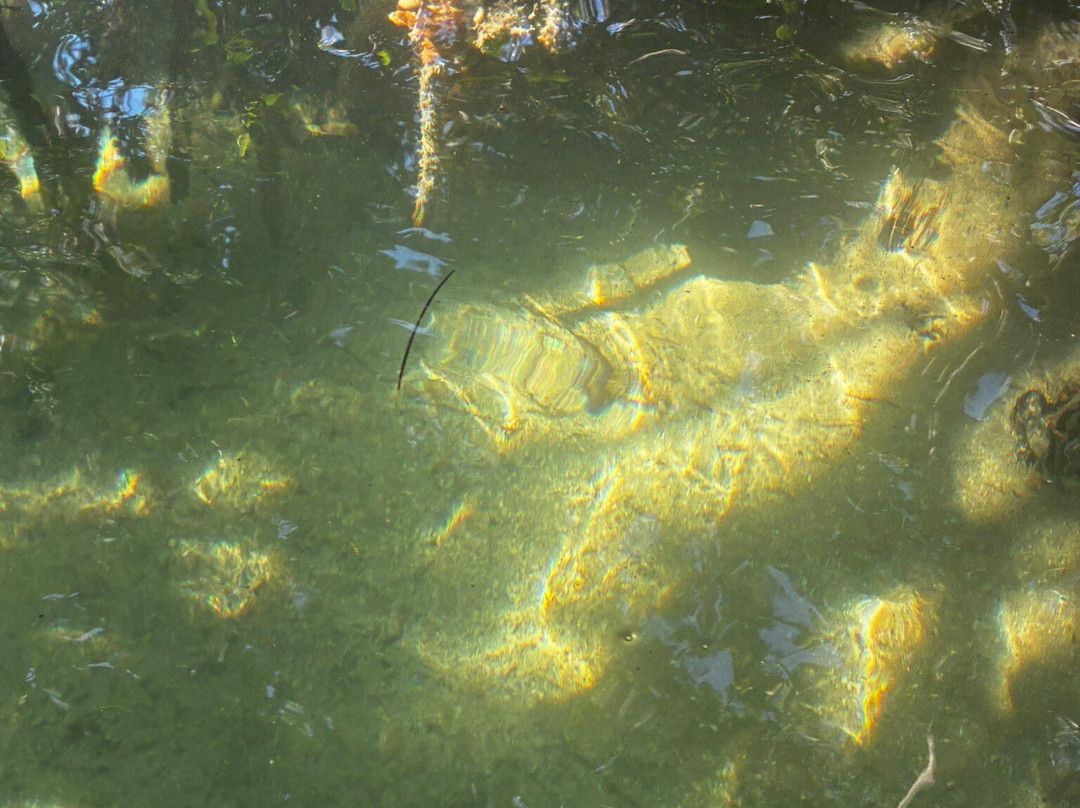 I Can See Clear Kayaking-伊斯拉摩拉达必去景点