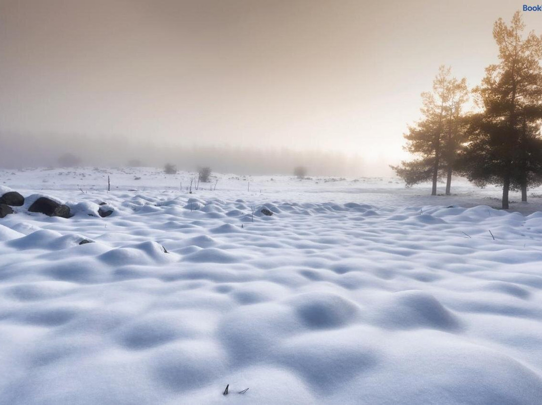 Ein Zivan酒店住宿-Irouah Boutique El-Rom