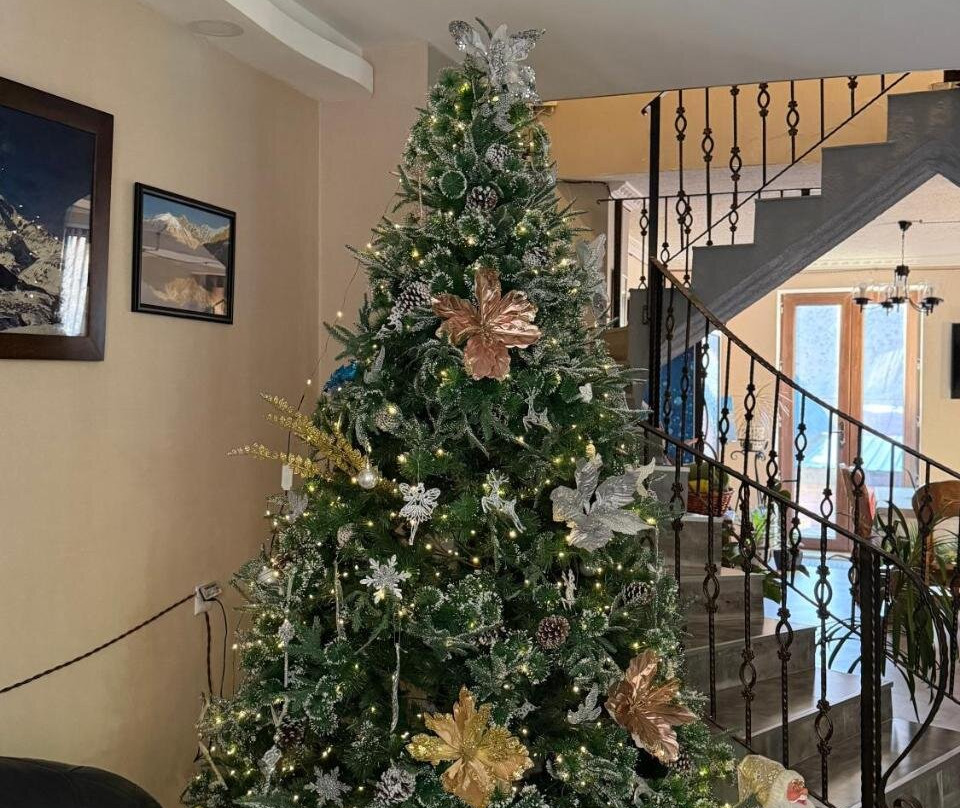 Juta酒店住宿-Hotel Elegant