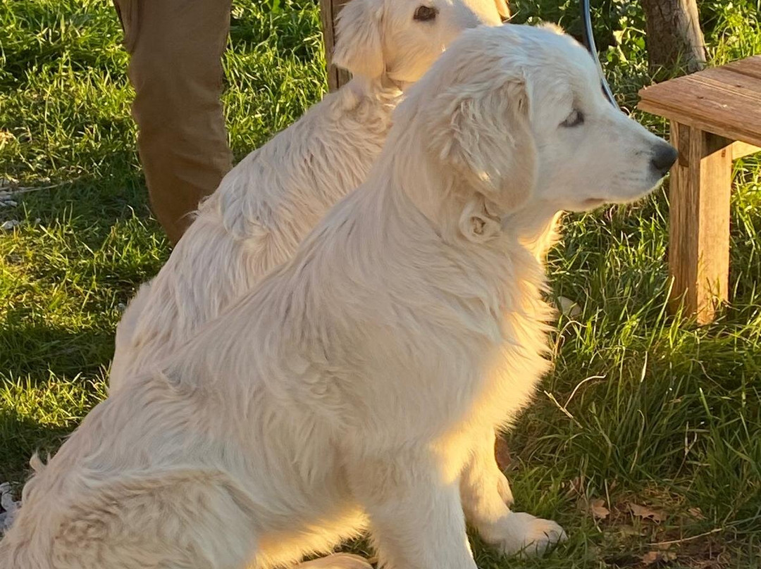 Podere Paterno-Monterotondo Marittimo必去景点