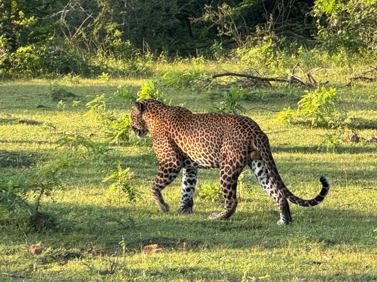 Freedom Safari Jeep Tours-蒂瑟默哈拉默必去景点
