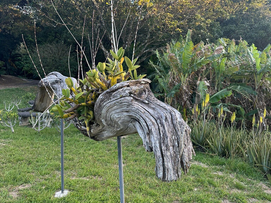 Canal Grande Lodge主图