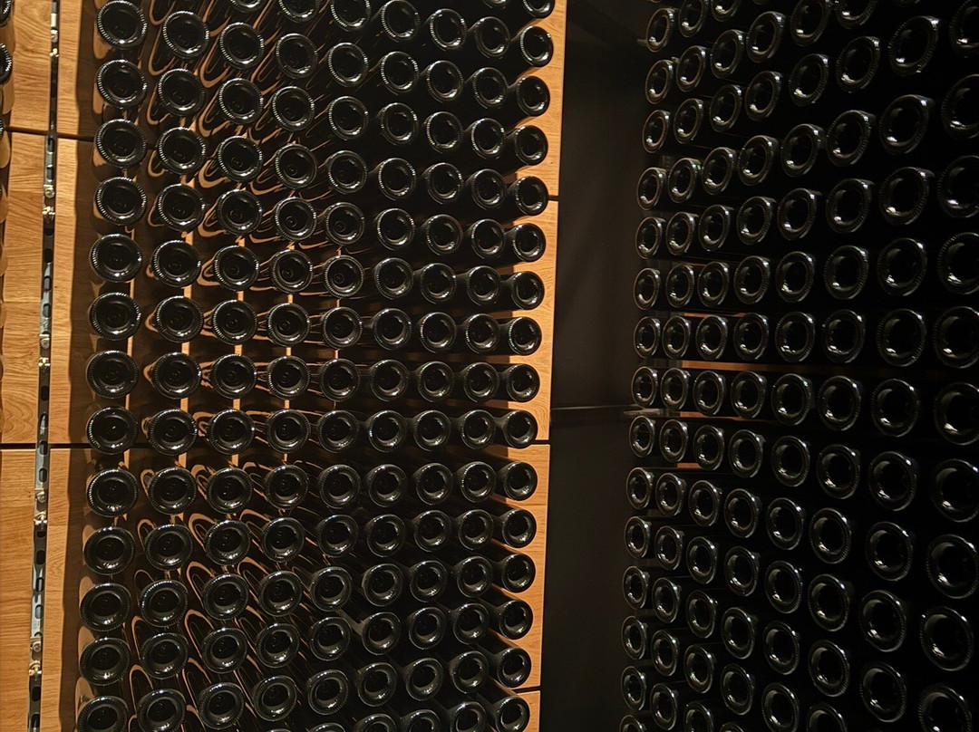 Bodegas Portia-Gumiel de Hizan必去景点