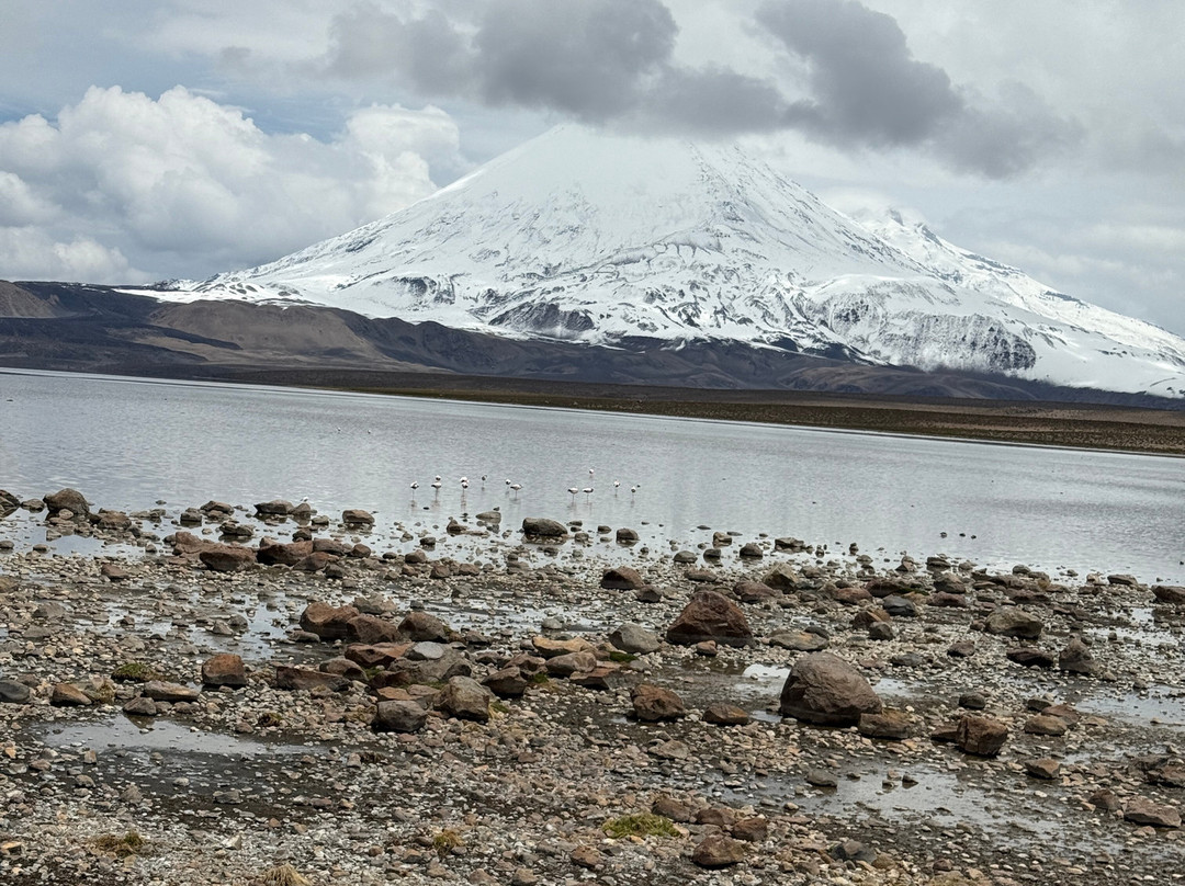 Mayuru Tour-Putre必去景点