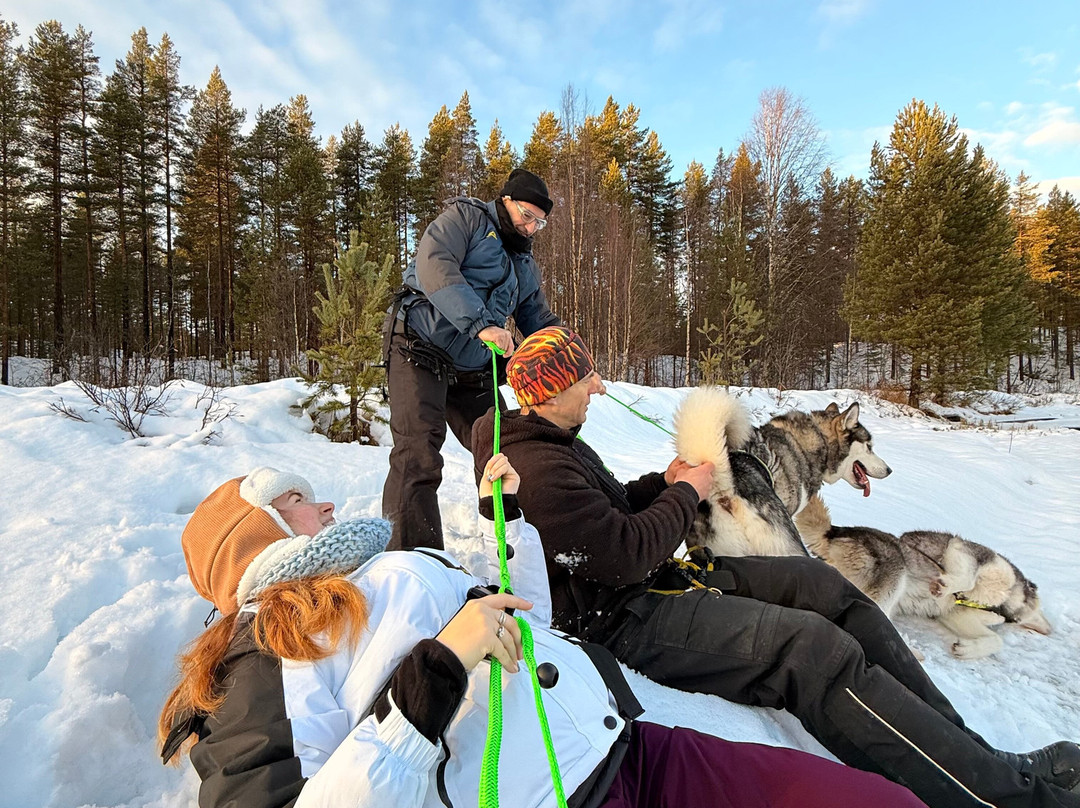 Openlappland-Amsele必去景点
