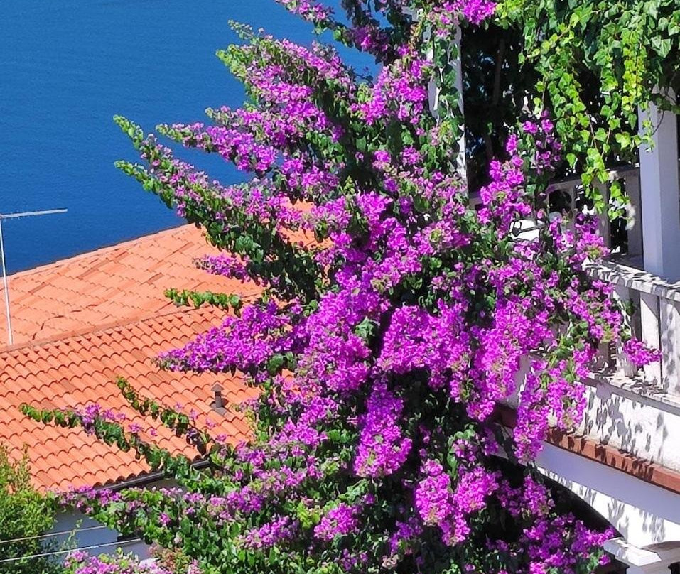 Villa Luma Apartments