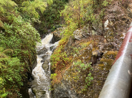 Walhalla Goldfields Railway-Walhalla必去景点