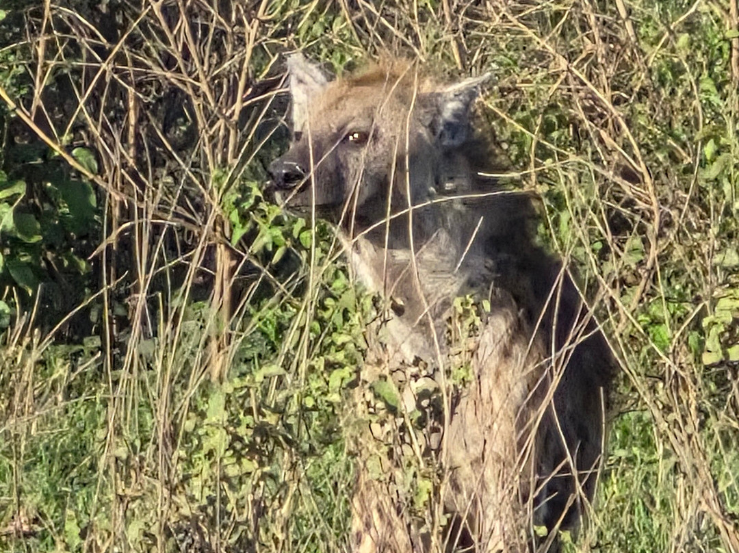 Tanzania Specialist-阿鲁沙必去景点