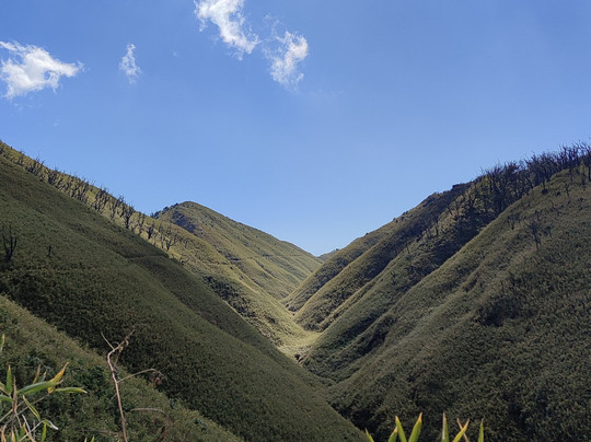 Pier Tours-Kohima必去景点