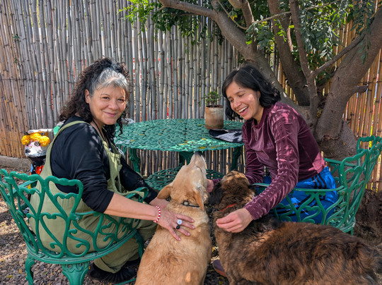 Interactive Spanish Learning-San Andres Huayapam必去景点