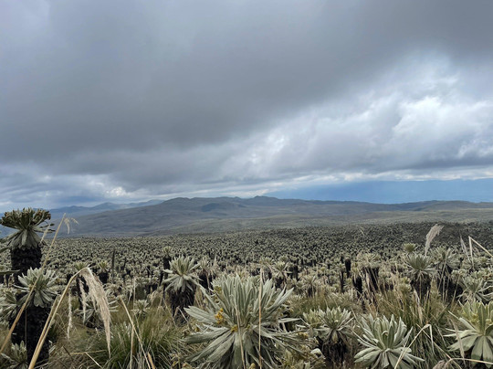 Reserva Ecologica El Ángel-El Angel必去景点