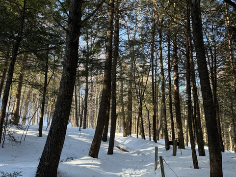 Bingham Falls-斯托必去景点