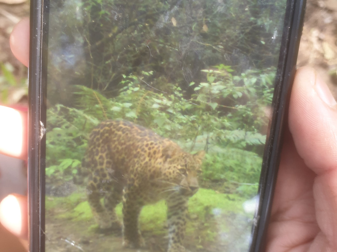 Jabarkhet Nature Reserve-马苏里必去景点