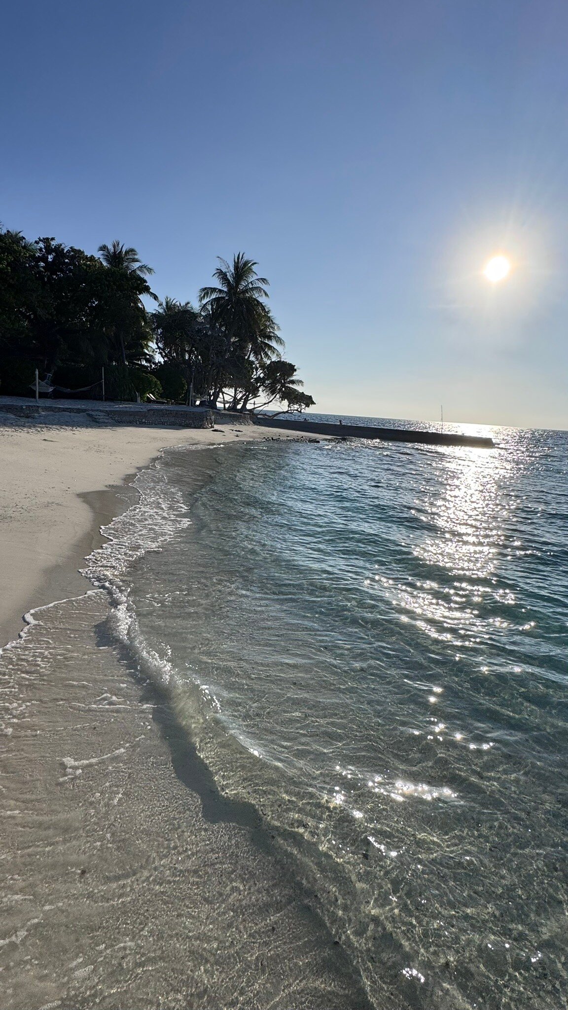 泰姬珊瑚礁度假村-官方