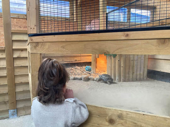 Blackberry Farm Park-刘易斯必去景点