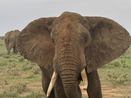 Richy Safaris Kenya-瓦塔木必去景点