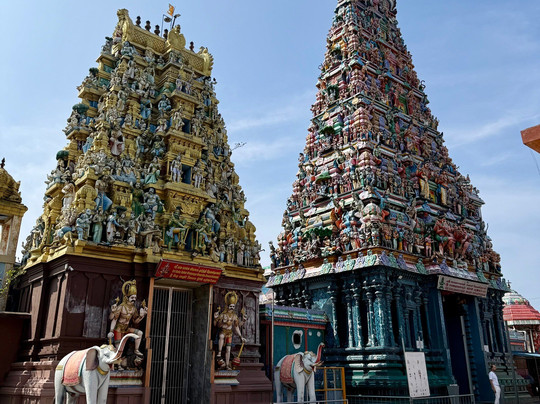 Rangi Tours-瓦都瓦必去景点