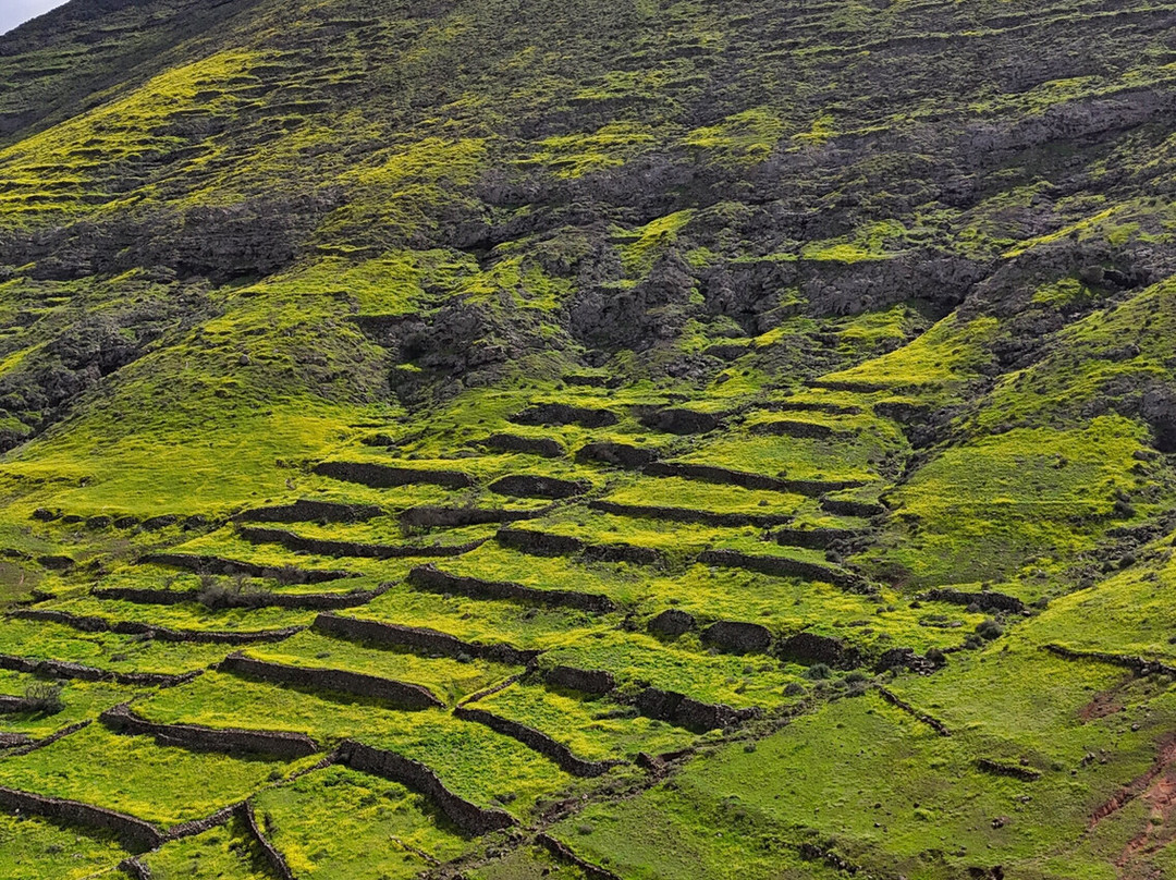 Ecocar Fuerteventura-Castillo Caleta de Fuste必去景点