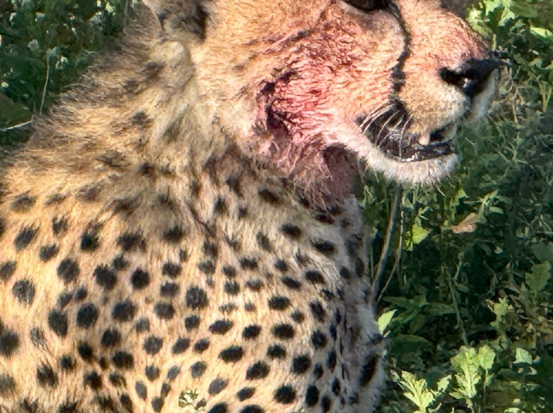 Takims Holidays-阿鲁沙必去景点