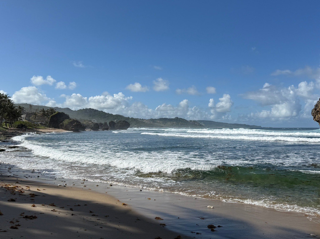 Ted's Tours-Hastings必去景点