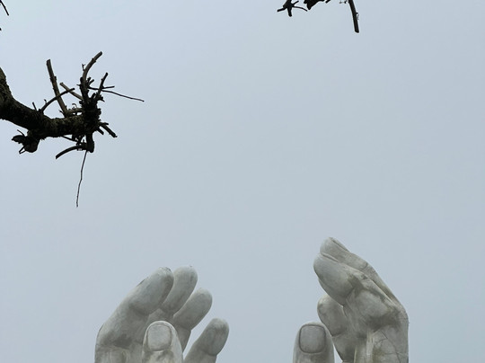 Simply Vietnam Travel-会安必去景点