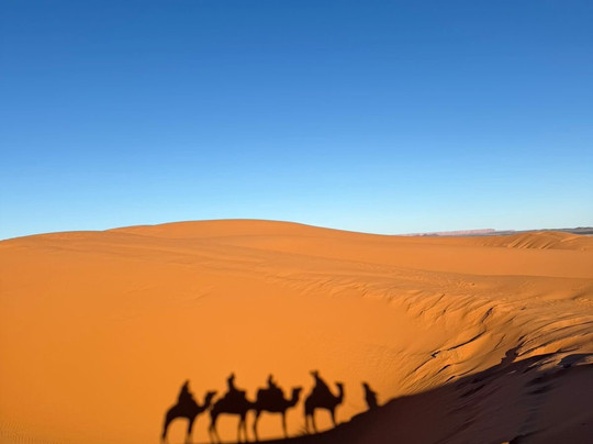 Morocco Easy Tours - Morocco Tours-马拉喀什必去景点