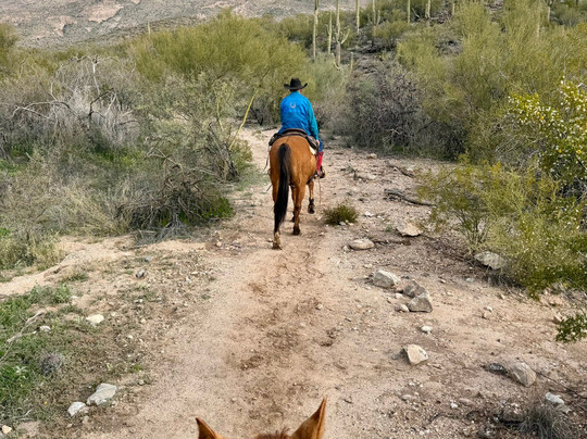 Saguaro Stables-图森必去景点
