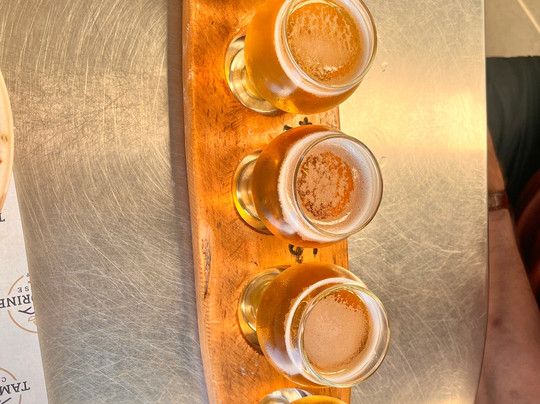 Fortitude Brewing Company-Mount Tamborine必去景点