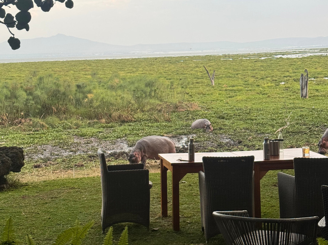 Aisanguyan Safaris-Sekenani必去景点