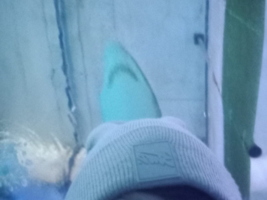 Aqua Vega Aquarium-安卡拉必去景点