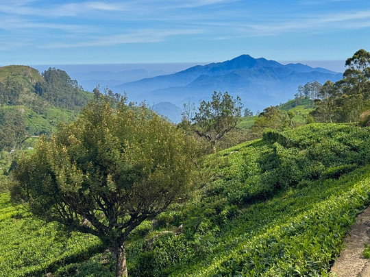 Aloka Sanna Travel Agency-Aluthgama必去景点