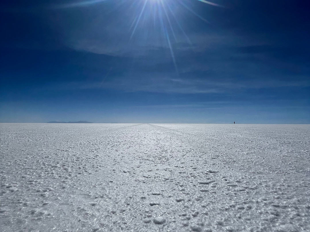 Ultimate Bolivia Tours-拉巴斯必去景点