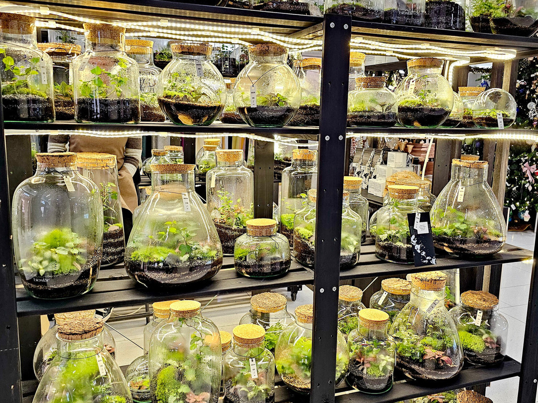 Viru Keskus-塔林必去景点