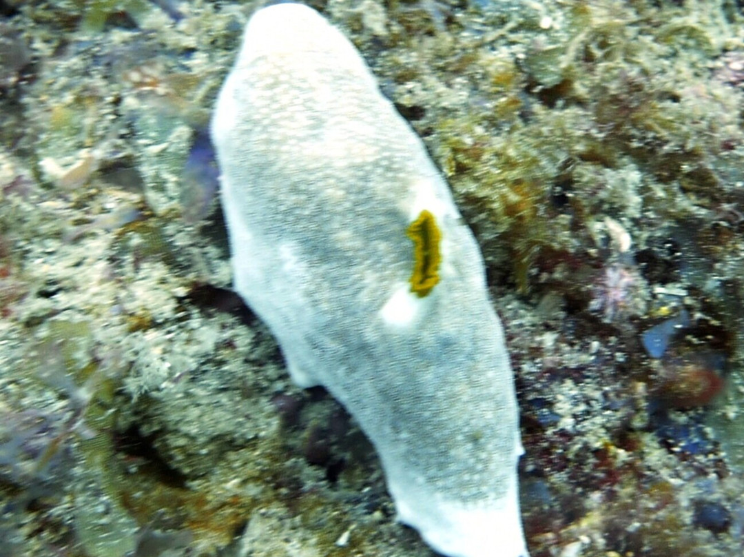 Aqua Ventures-瓦塔木必去景点