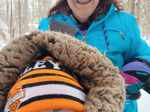 Windrift Kennel-奥里利亚必去景点