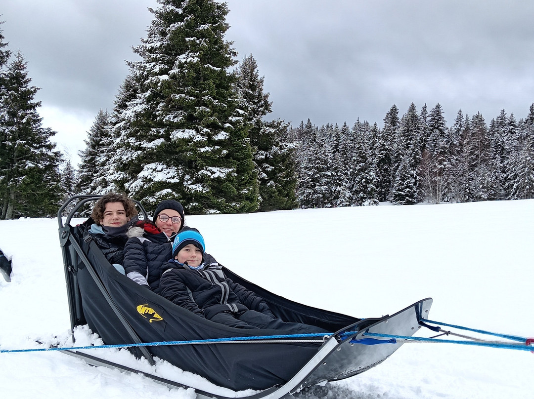 Chiens De Traîneaux Chamrousse-尚鲁斯必去景点
