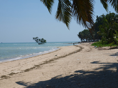 Vijaynagar Beach-哈夫洛克岛必去景点