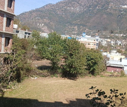 格德拉柠檬树酒店主图