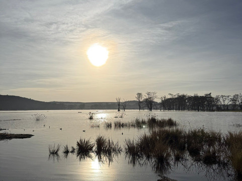 Pinnacle Alpine Tours and Treks-Naro Moru必去景点