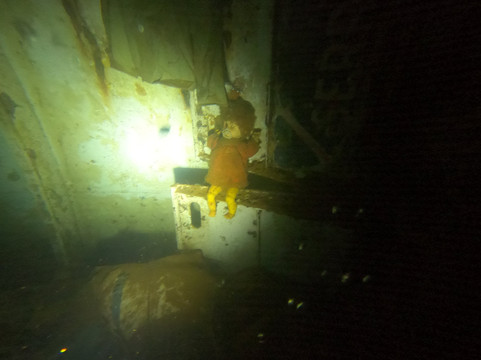 Ducks Diving Safaga-Safaga必去景点