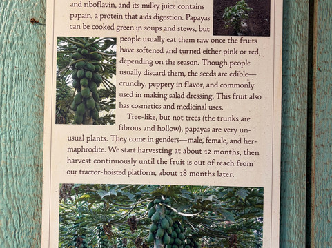 Kumu Farms-摩洛凯岛必去景点