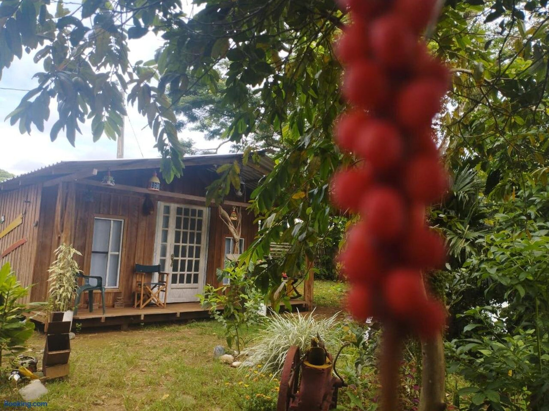 Hostal La Cabana
