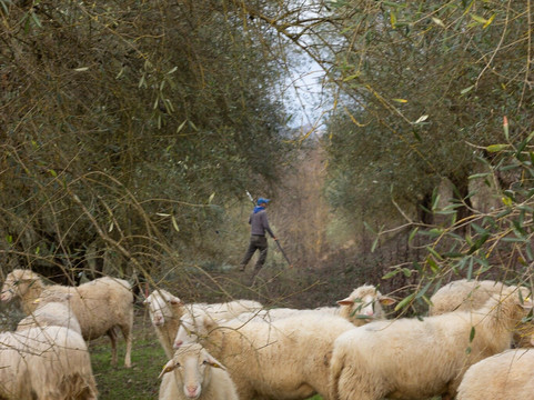 Borgo la Torre Alle Tolfe主图