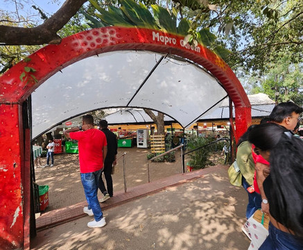 Mapro Garden-马哈巴勒什瓦必去景点