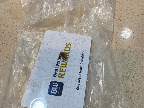 冷水溪贝斯特韦斯特优质酒店主图